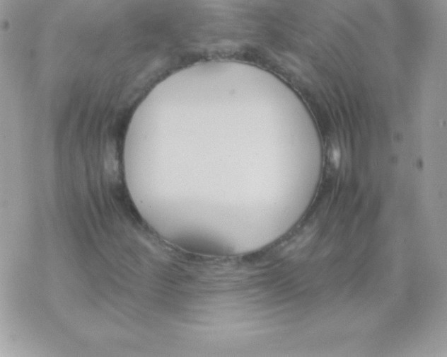 X0000070831252200607142332