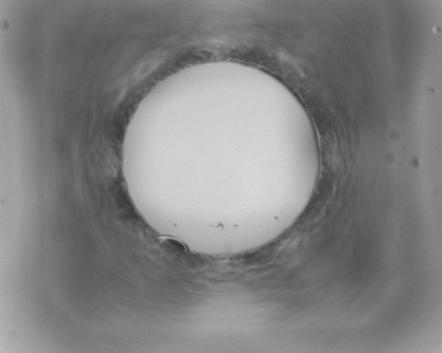 X0000070831253200607142332