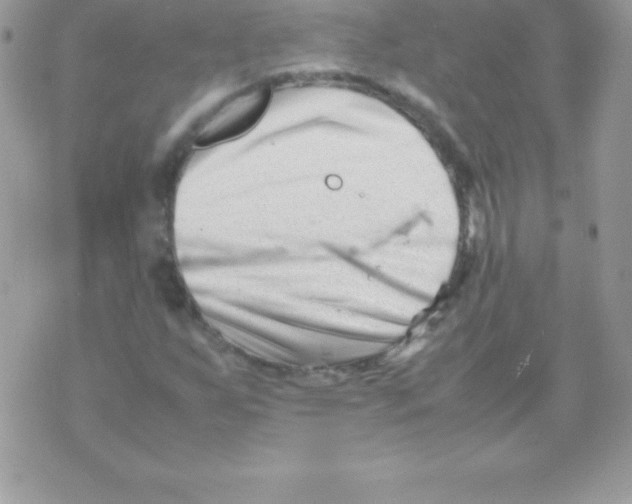 X0000070831255200607142332