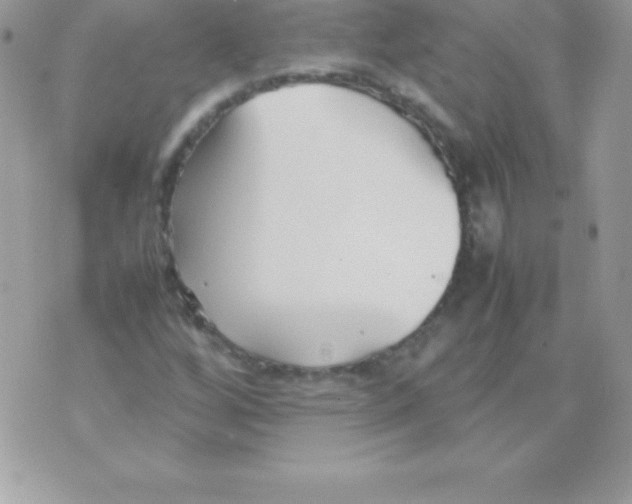 X0000070831256200607142332