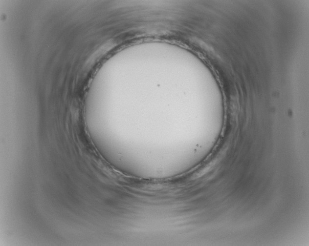 X0000070831257200607142332