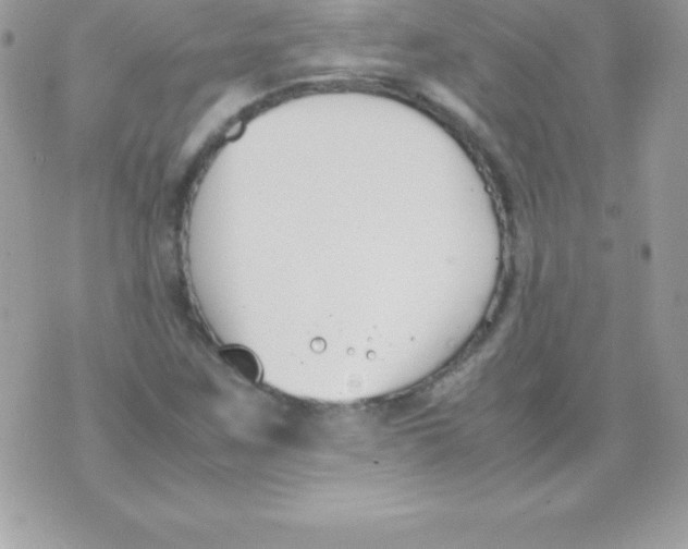 X0000070831259200607142332