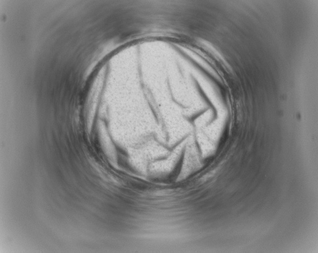 X0000070831260200607142332