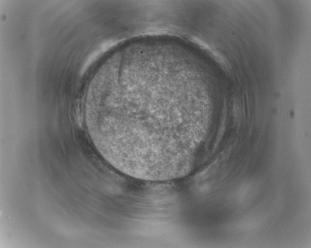 X0000070831262200607142332