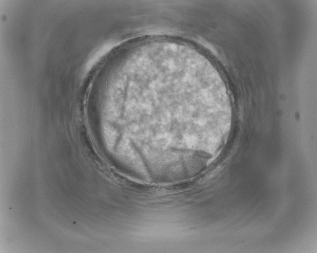 X0000070831263200607142332