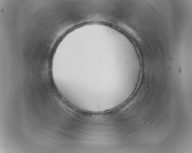 X0000070831264200607142332