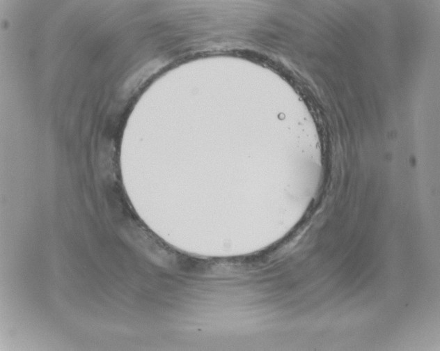 X0000070831265200607142332