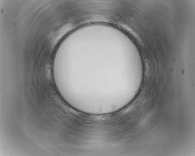 X0000070831266200607142332