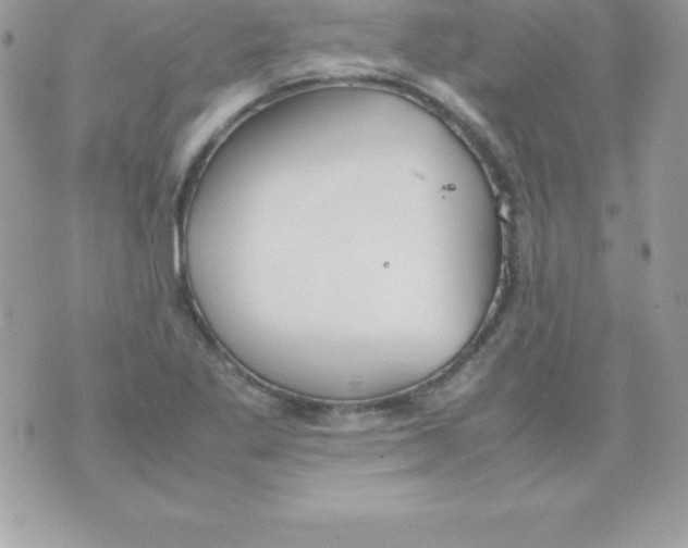 X0000070831269200607142332