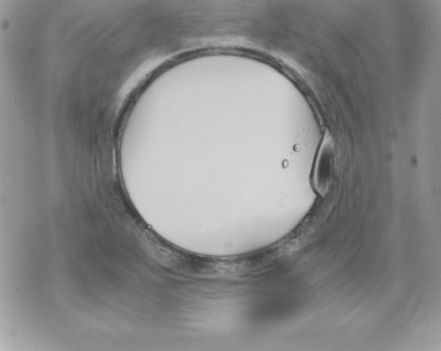 X0000070831271200607142332