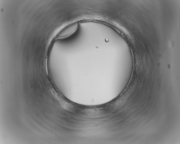 X0000070831272200607142332