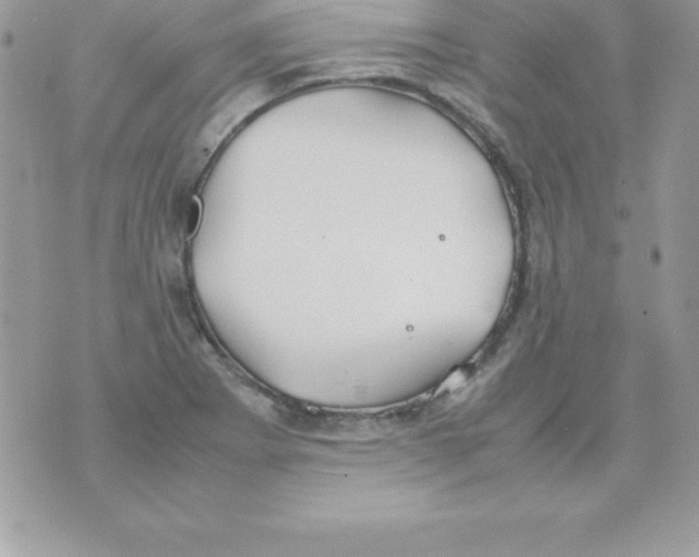 X0000070831273200607142332