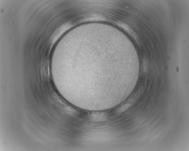 X0000070831274200607142332