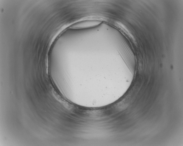 X0000070831276200607142332