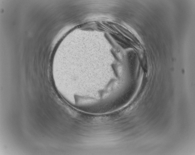 X0000070831277200607142332