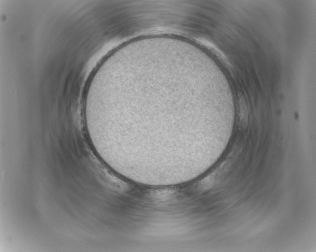 X0000070831278200607142332