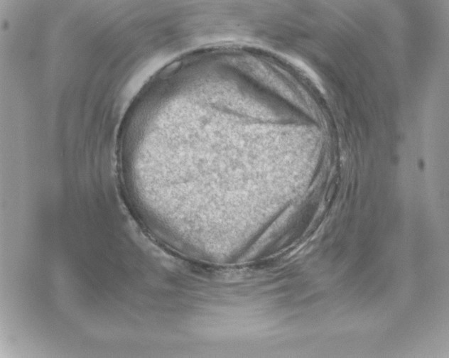 X0000070831279200607142332