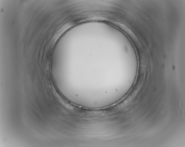 X0000070831281200607142331