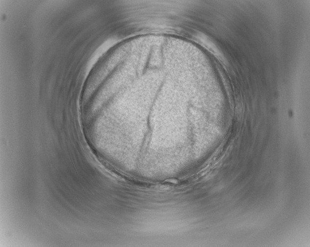 X0000070831283200607142331