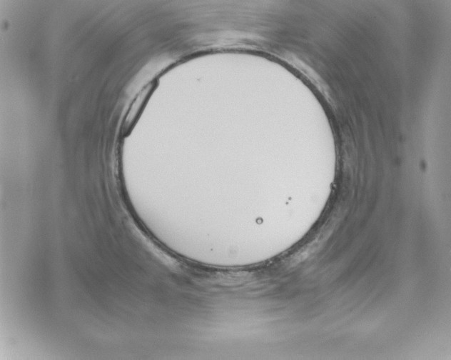 X0000070831285200607142331