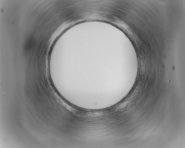 X0000070831286200607142331