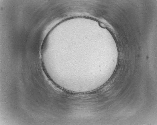 X0000070831287200607142331