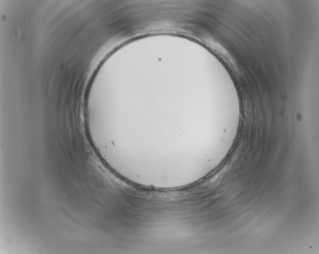 X0000070831288200607142331