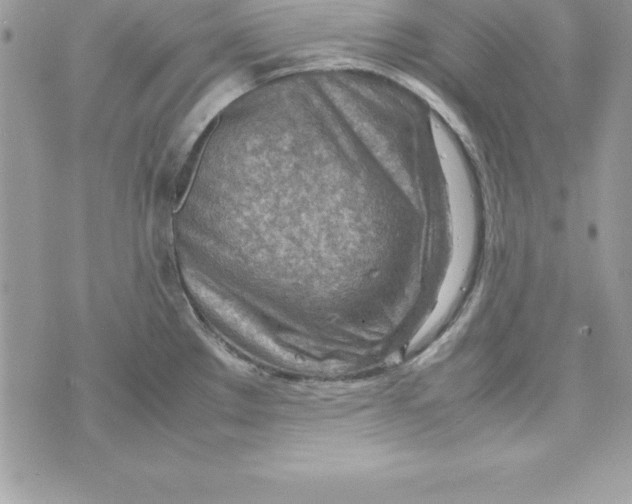 X0000070831289200607142331