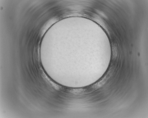 X0000070831290200607142331