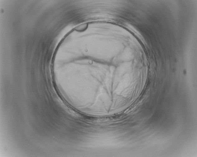 X0000070831291200607142331