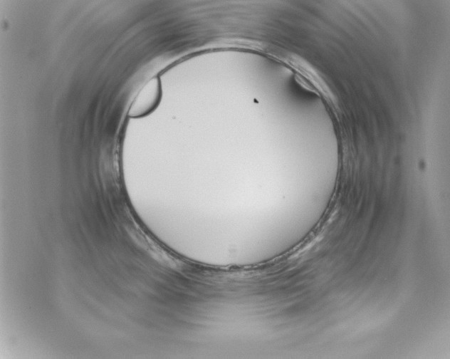 X0000070831292200607142331