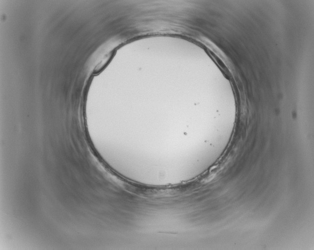 X0000070831293200607142331