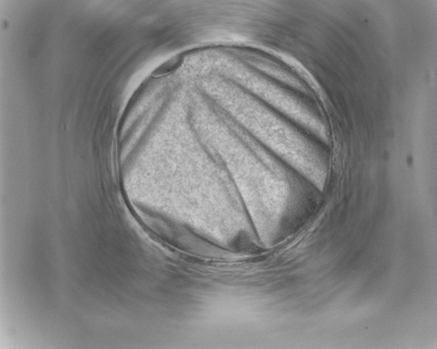 X0000070831295200607142331