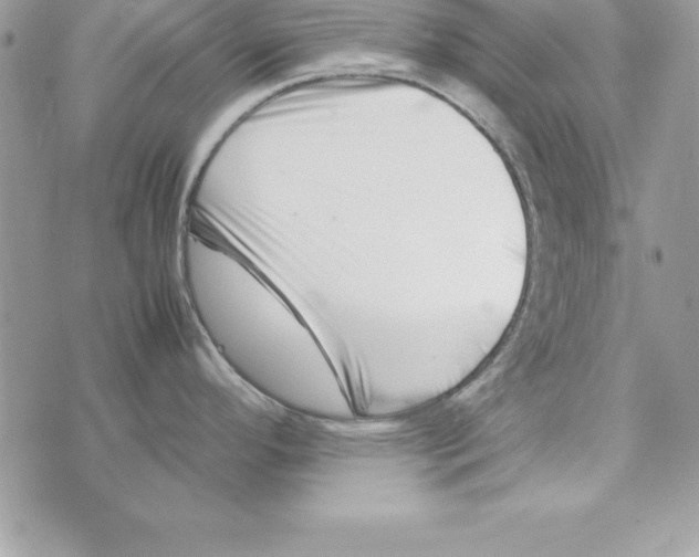 X0000070831296200607142331