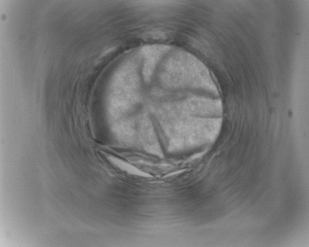 X0000070831297200607142330