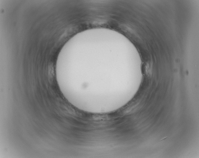 X0000070831299200607142330