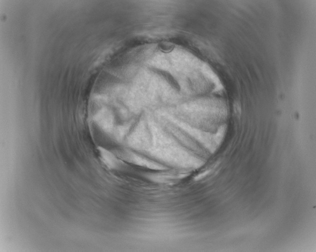 X0000070831300200607142331