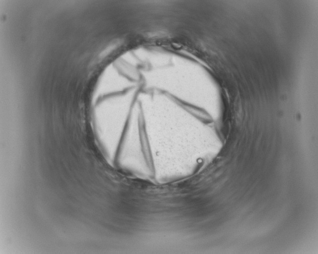 X0000070831301200607142331