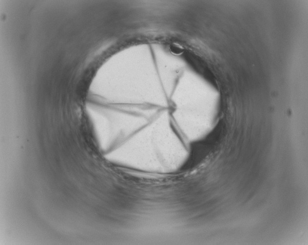 X0000070831302200607142331