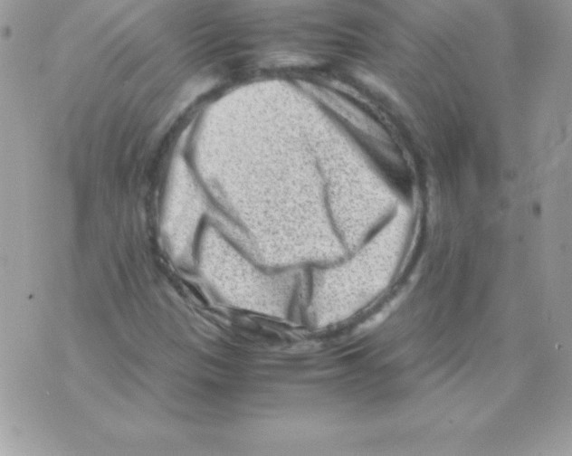 X0000070831305200607142331