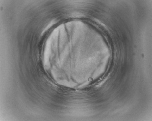 X0000070831306200607142331