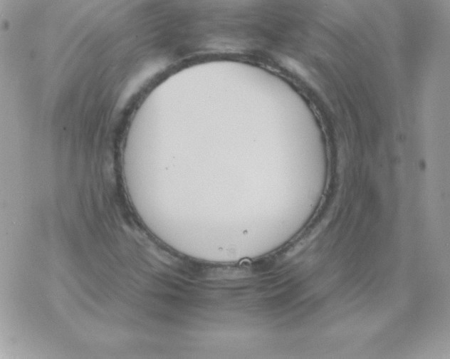 X0000070831307200607142331