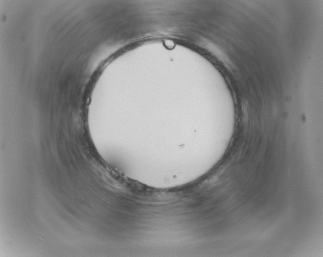 X0000070831308200607142331