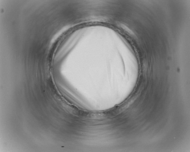 X0000070831310200607142331