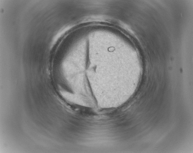 X0000070831312200607142331