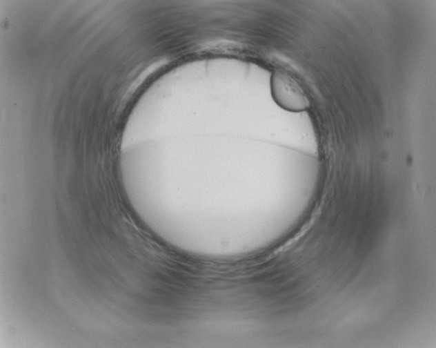 X0000070831313200607142331