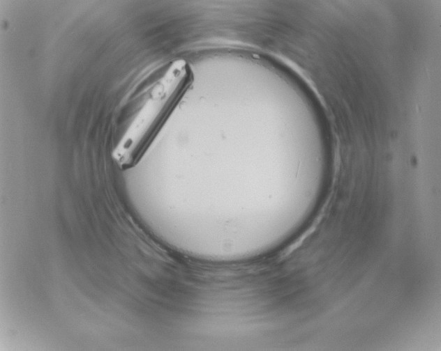 X0000070831314200607142331