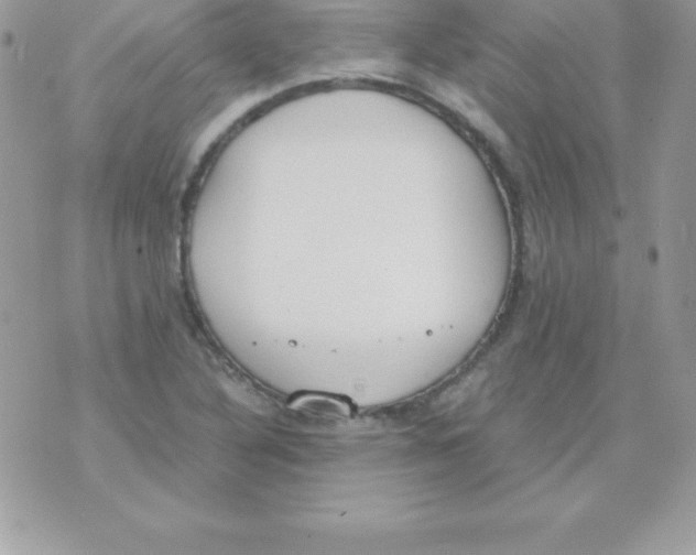 X0000070831316200607142331