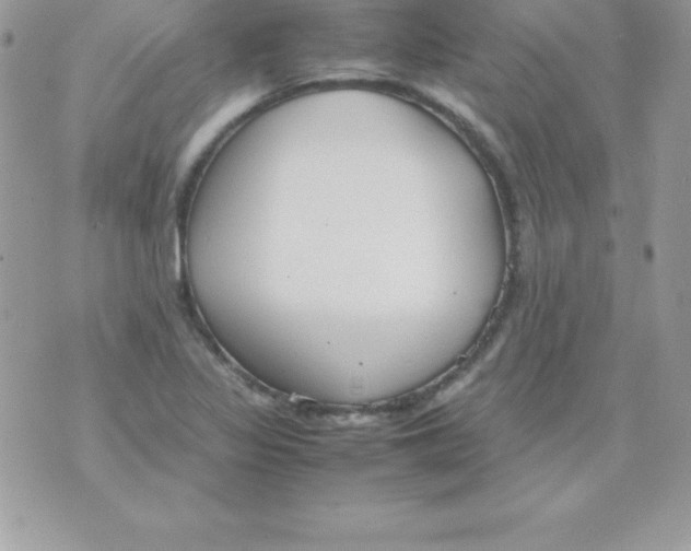 X0000070831317200607142331