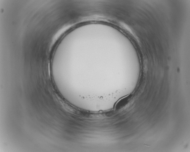 X0000070831320200607142331